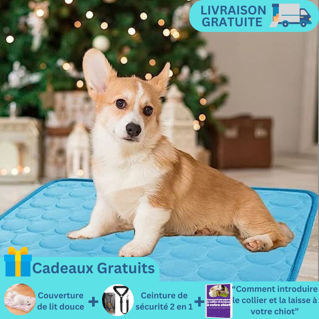 CoolTapis™ | Lit frais