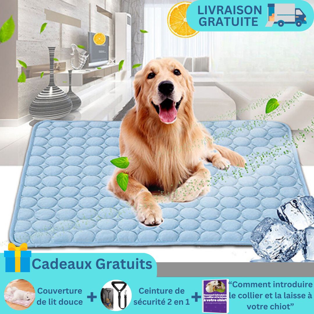 CoolTapis™ | Lit frais