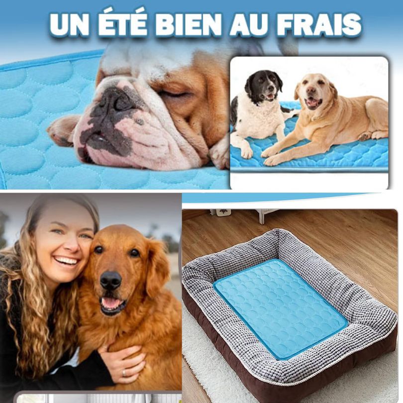CoolTapis™ | Lit frais