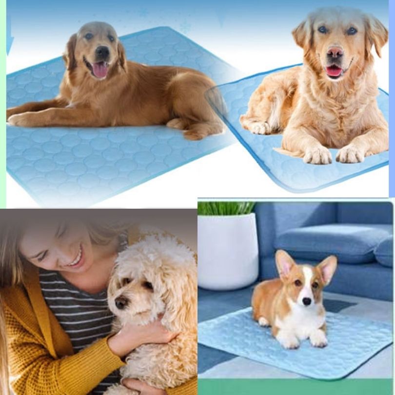 CoolTapis™ | Lit frais