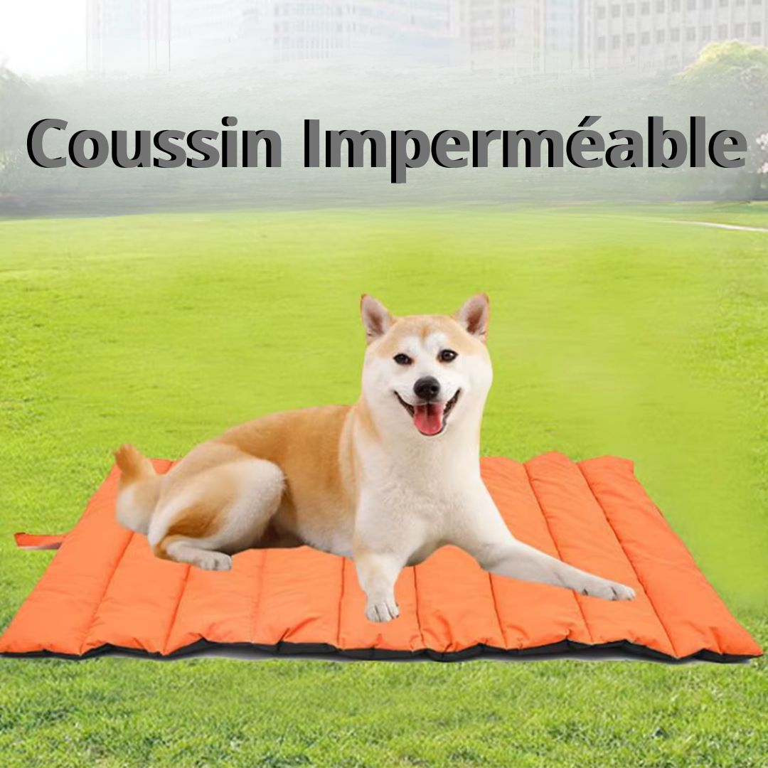 coussin chien impermeable transportable
