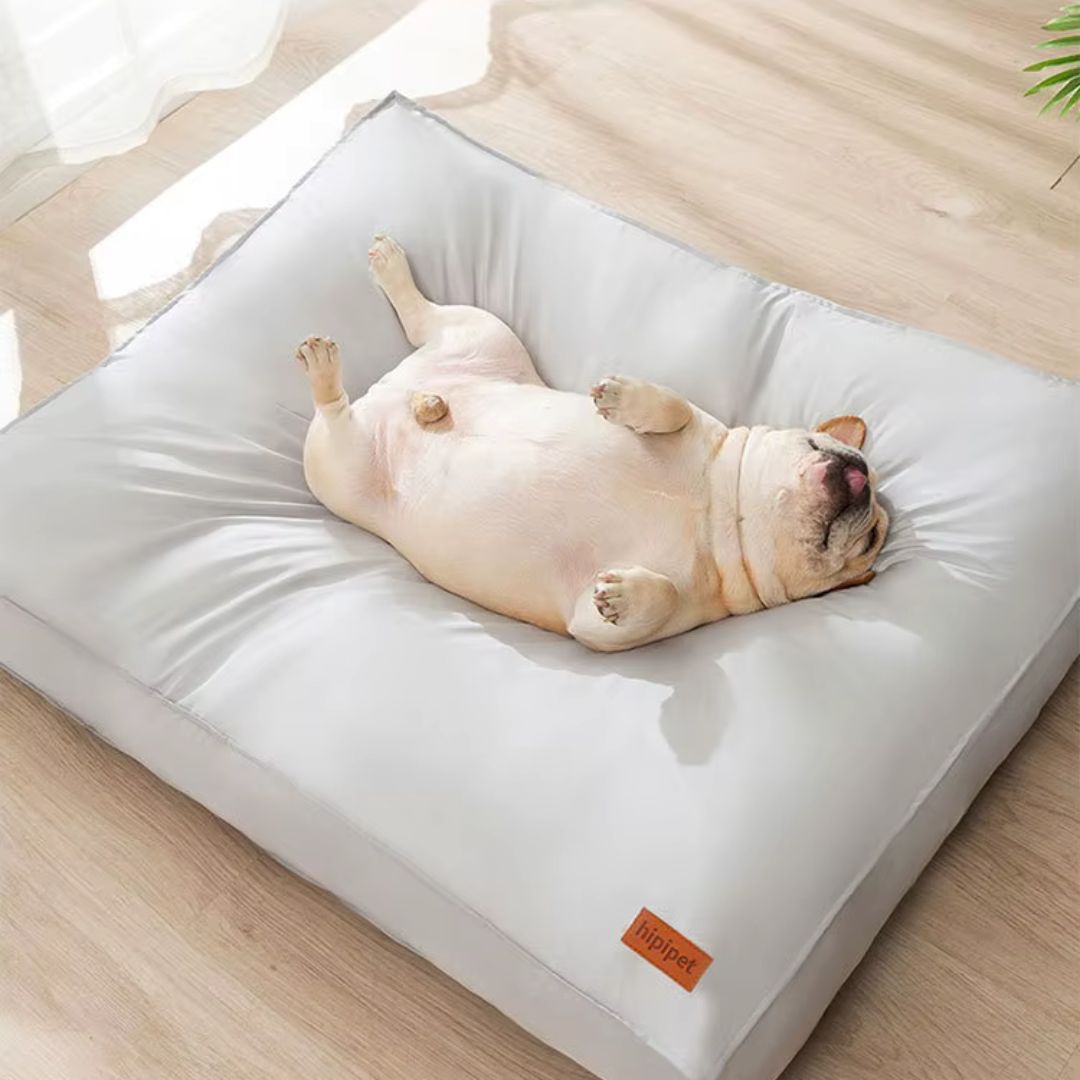 coussin chien dehoussable lavable
