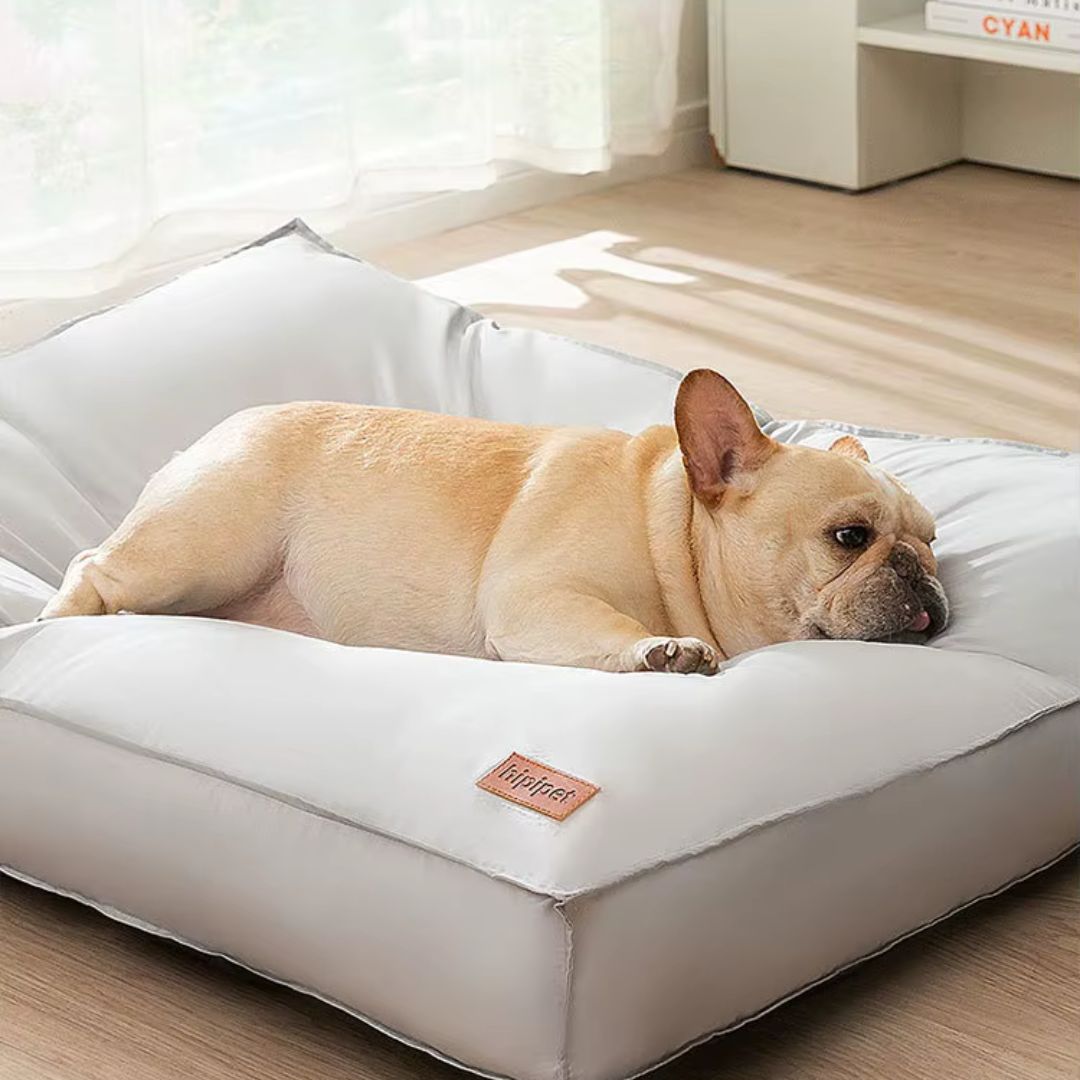 coussin chien dehoussable lavable