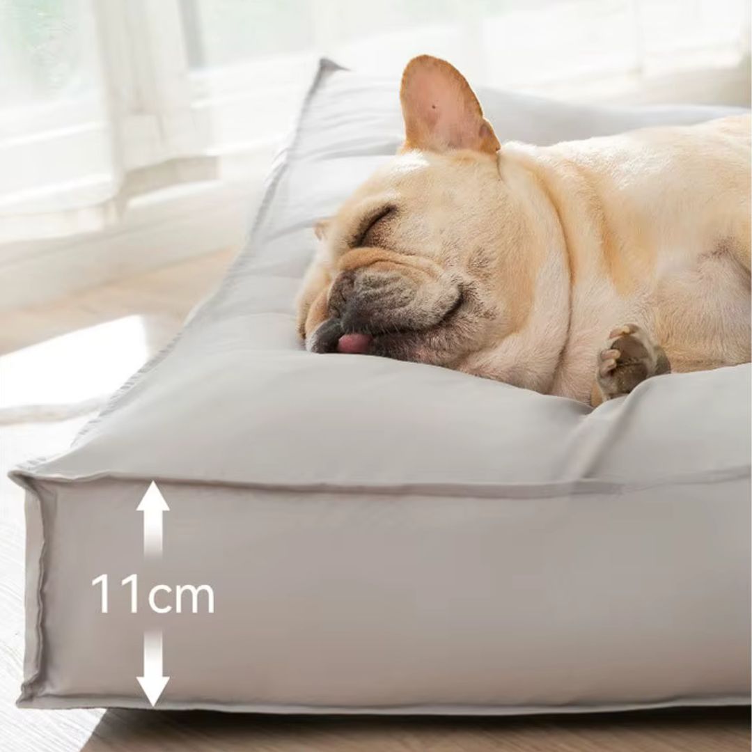 coussin chien dehoussable lavable