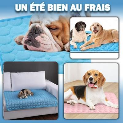 CoolTapis™, lit frais d'été pour chien.