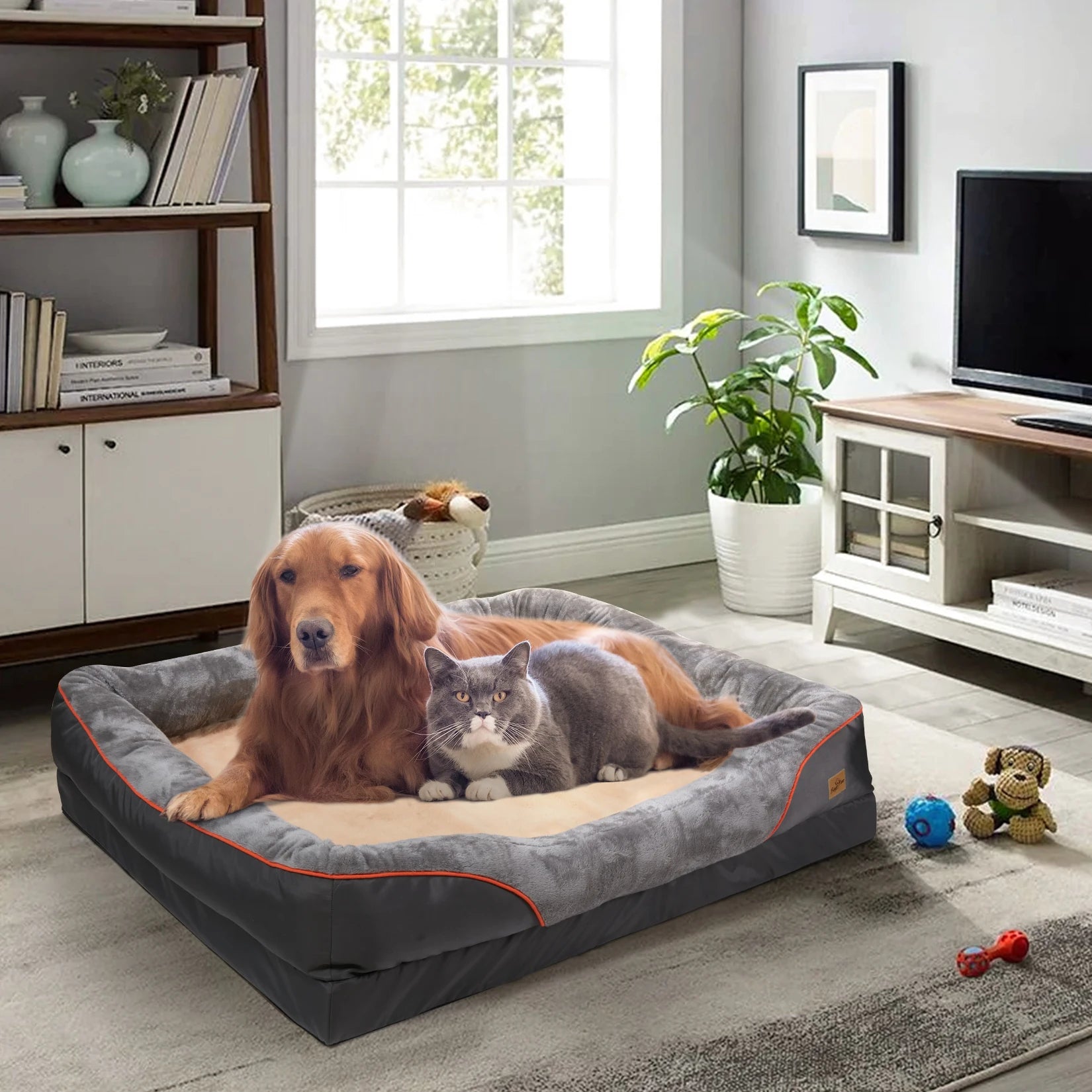 coussin chien avec rebord confortable