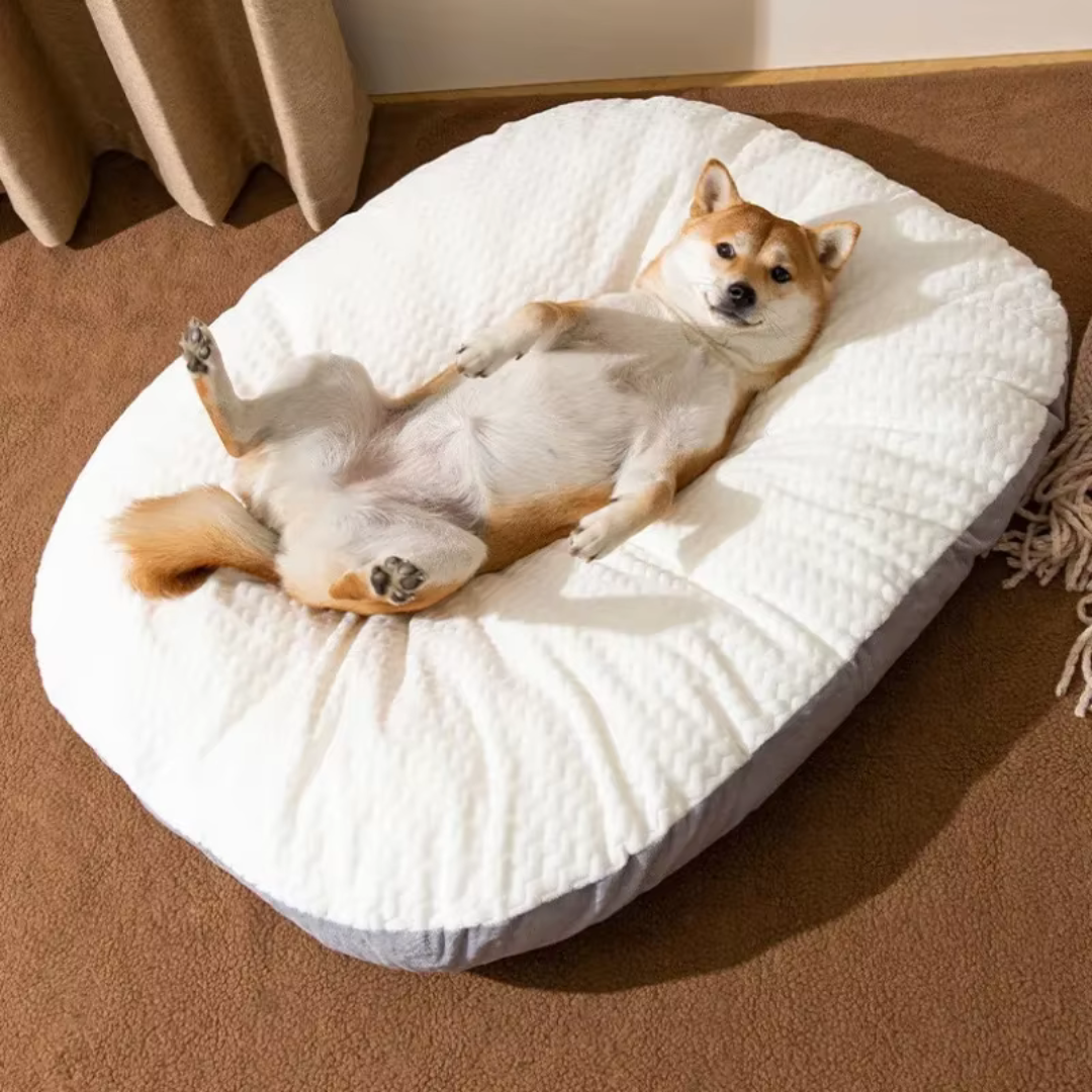 coussin dehoussable chien doux epais