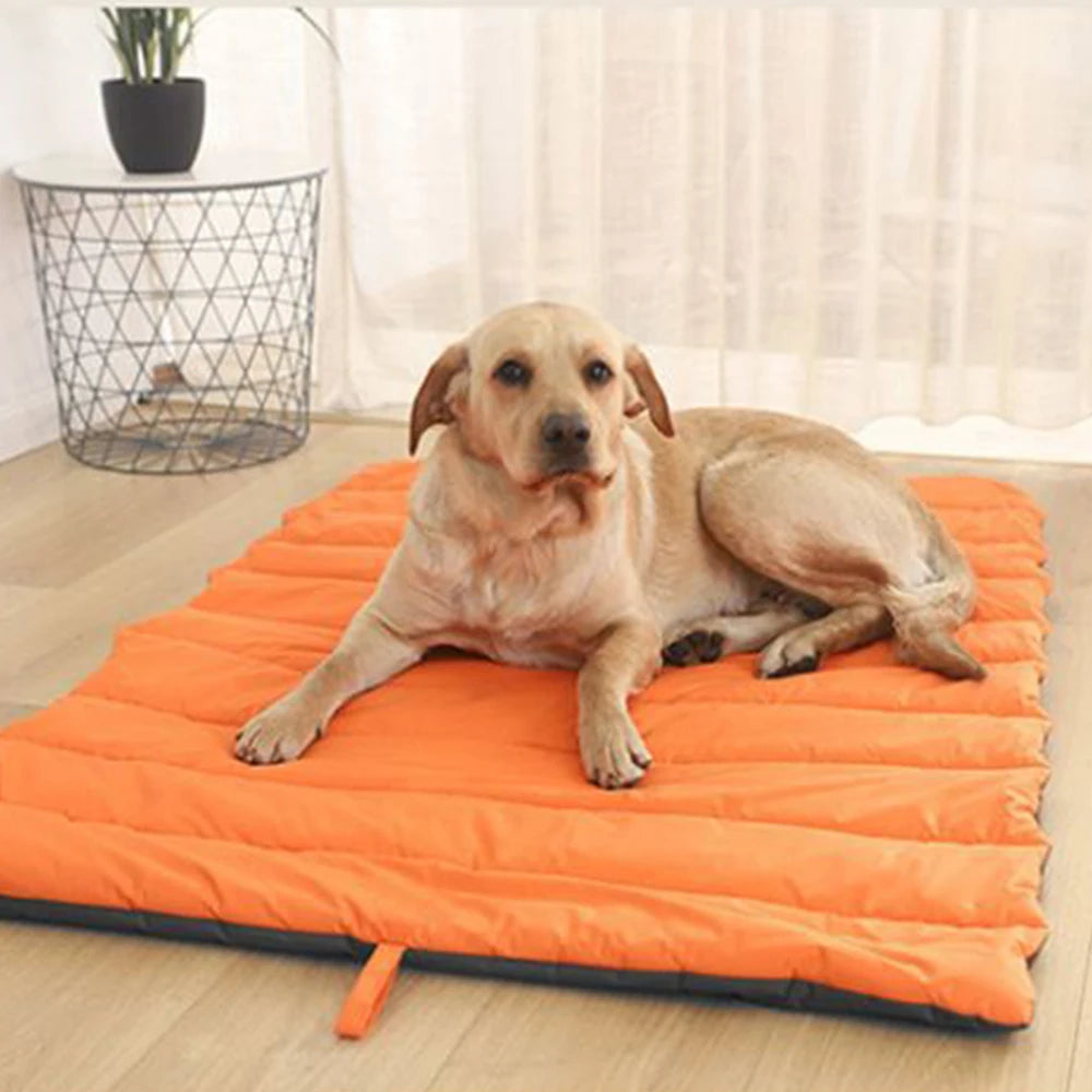 coussin chien imperméable portable