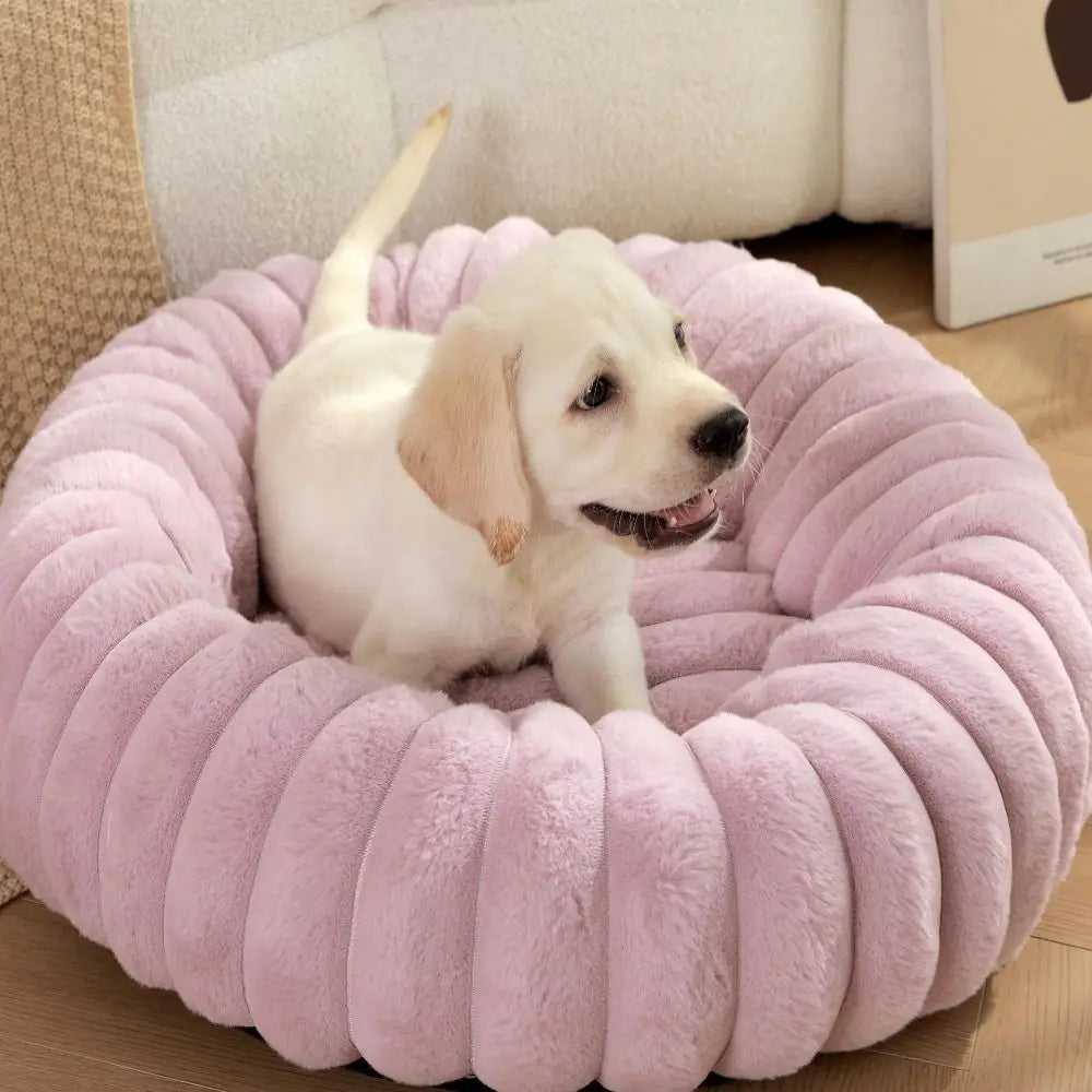 Coussin chien | CocoonDog