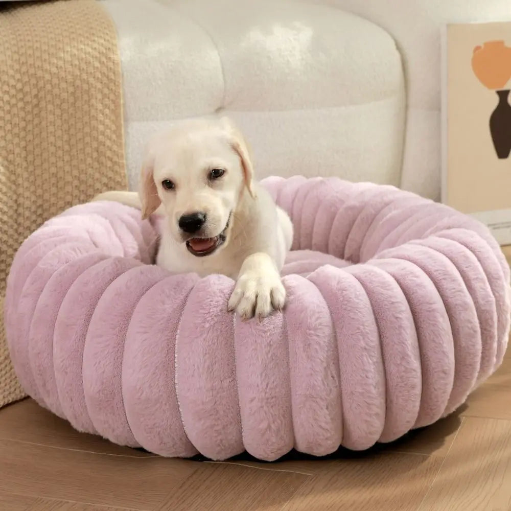 Coussin chien | CocoonDog