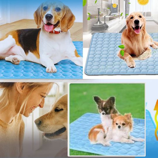 CoolTapis™- Lit frais d'été pour chien.