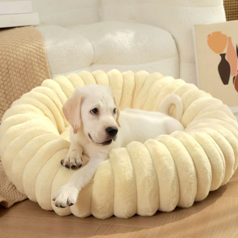 Coussin chien | CocoonDog