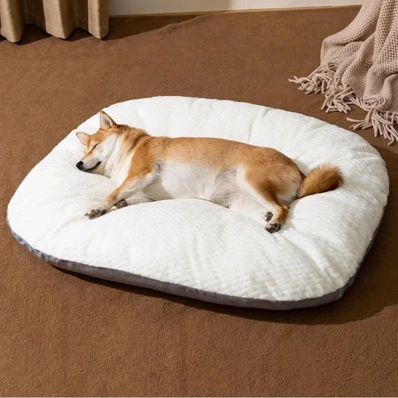 Détail du coussin déhoussable chien montrant sa douceur et confort
