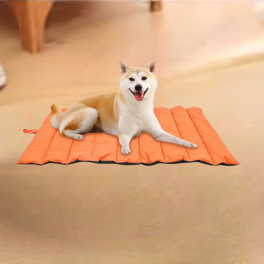 grand coussin de chien cool 