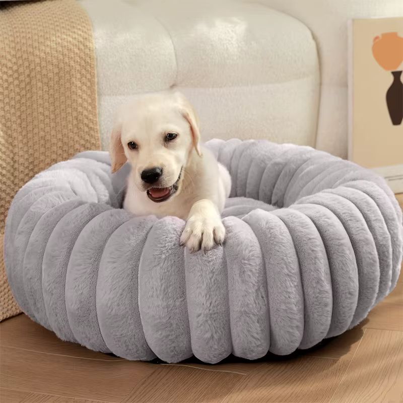 Coussin chien | CocoonDog